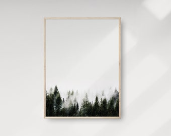 May include: A framed photograph of a misty forest with tall evergreen trees. The image is in black and white with a light grey background.