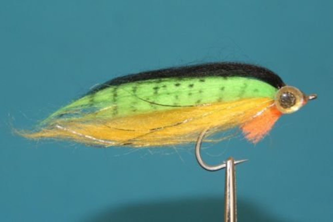 Saltwater Minnow Fly Fishing Flies Assortment 18 Qty Etsy