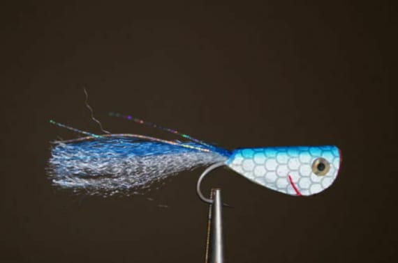 Buy SALTWATER Fly Fishing Flies Assortment 20 Qty Online in India 