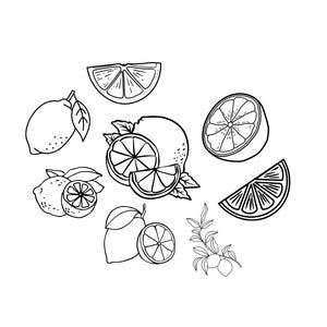 May include: Black and white line art illustration of lemons and lemon slices. The image features whole lemons, halved lemons, and lemon wedges, along with leaves and sprigs, all in a simple, graphic style. The arrangement is scattered across a white background.