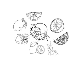 Citroner Bundle PNG SVG-fil - Ladda ner plotterfil - SVG-fil - Fruktsommar - Plotterfil