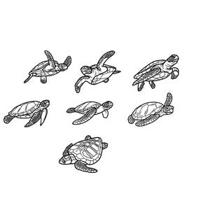 Pacchetto Tartaruga Tartaruga File PNG SVG - Scarica File Plotter - File PNG SVG - File Plotter - Plotter Cricut - Mare Oceano Animale