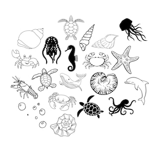 Meeres Muscheln Sea shells Bundle -SVG Download Datei - Plotterdatei - Schildkröte Turtle Seepferd Krabbe Seahorse Crab - Plotter File