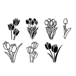 May include: A set of black and white line drawings of tulips. The tulips are in various stages of bloom, with some fully open and others still in bud. The drawings are simple and elegant, and would be perfect for use in a variety of projects.