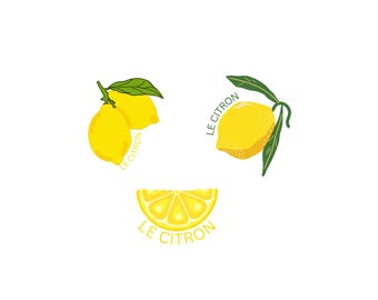 Citroner Citron Bundle PNG SVG-fil - Ladda ner plotterfil - SVG-fil - Fruktsommar - Plotterfil Le Citron