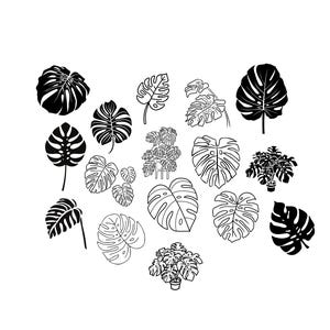 モンステラバンドル PNG SVG ファイル - プロッターファイルのダウンロード - プロッターファイル - モンステラモンキーリーフの植え付け