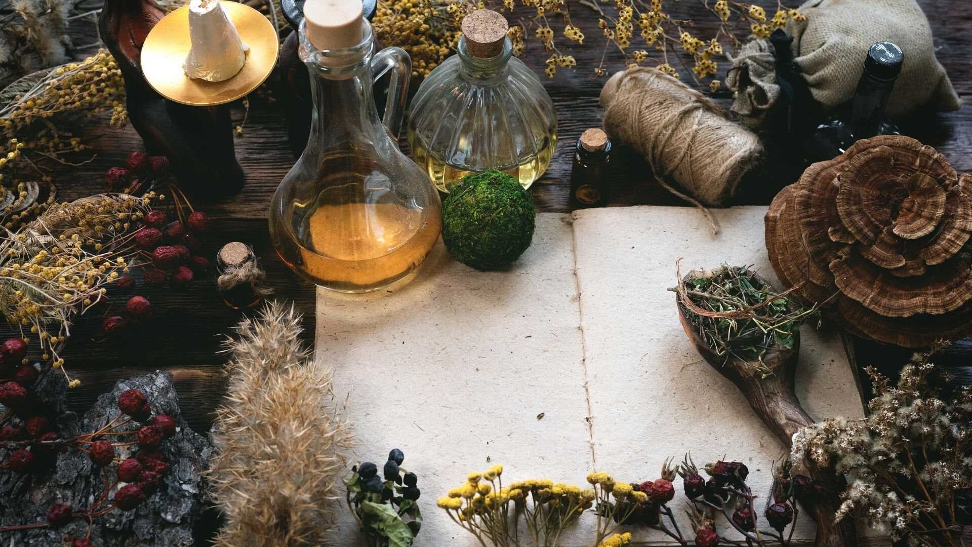 Conseil en Herboristerie .