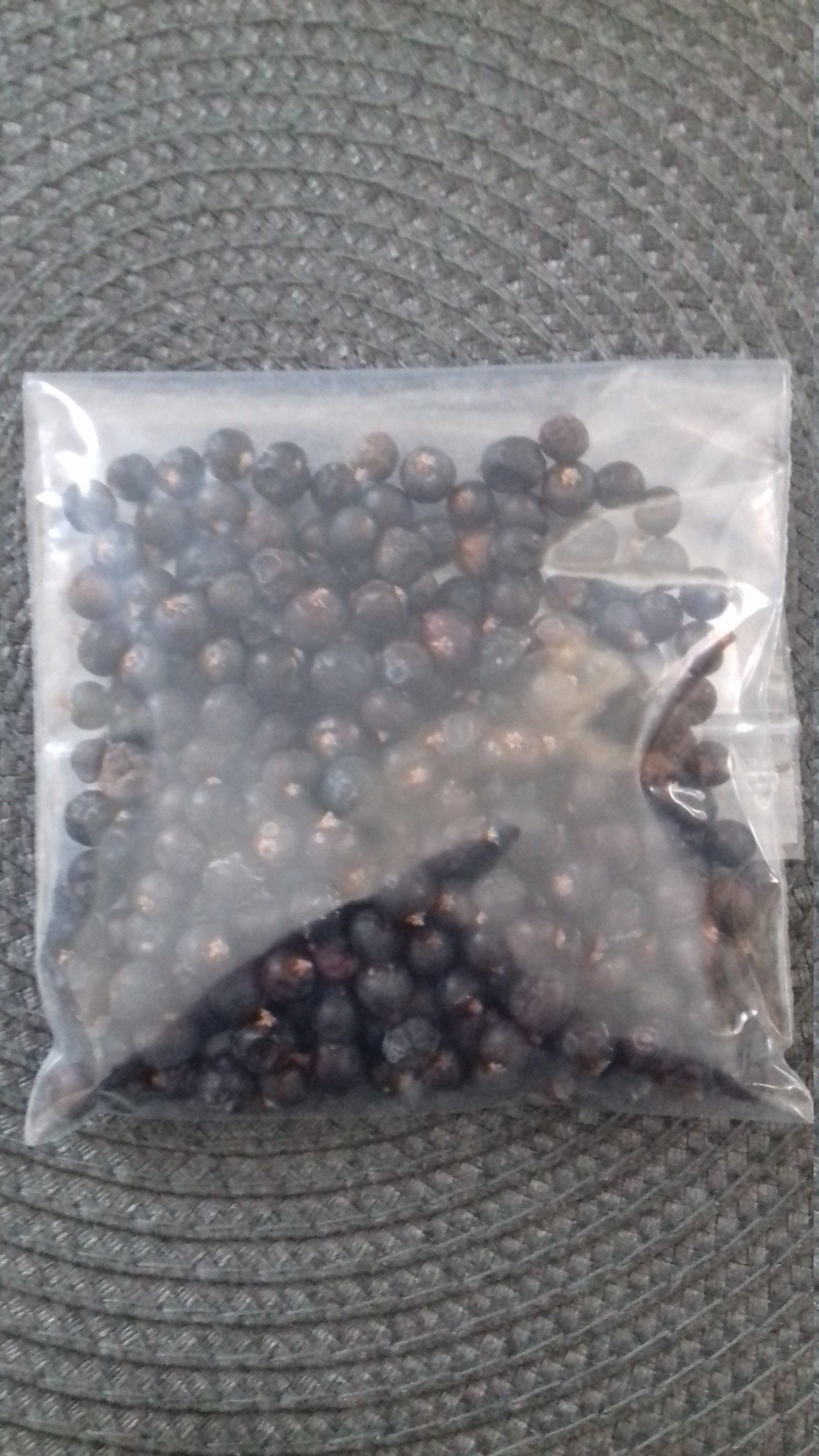 Genévrier Juniperus Communis Rituels