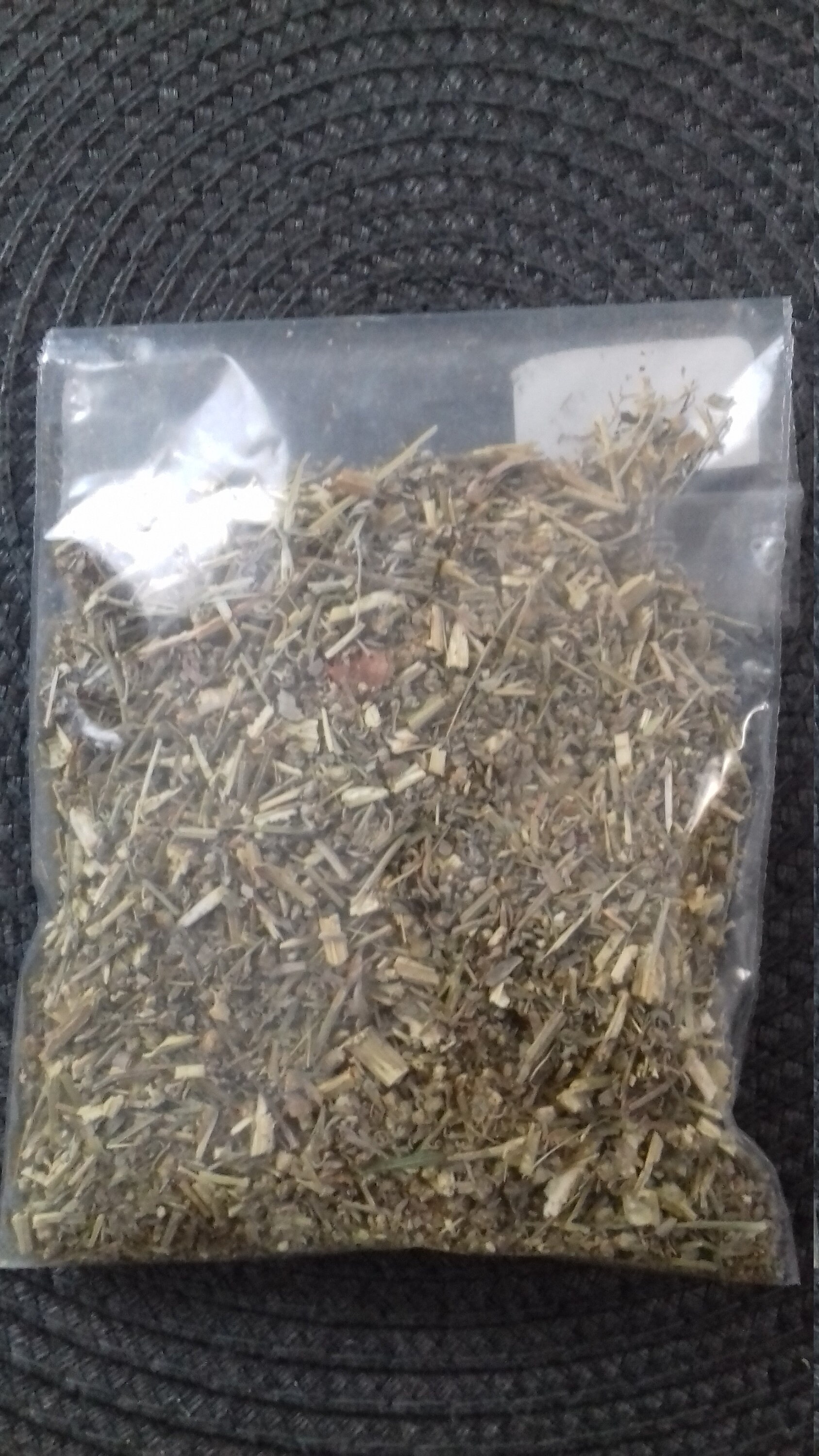 Absinthe Artemisia Absinthium Sorcellerie