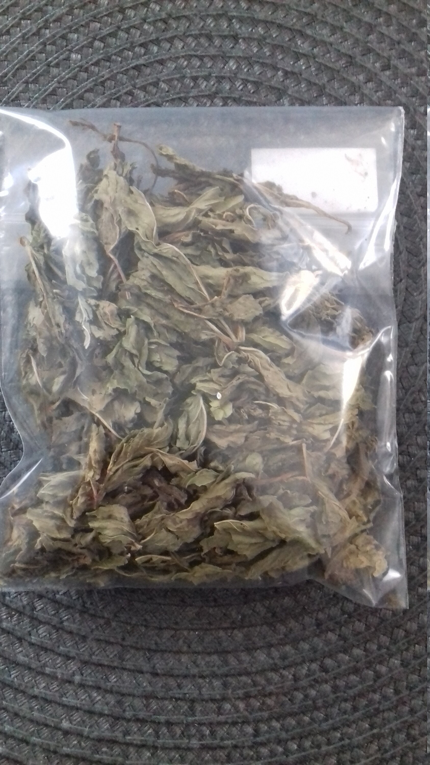 Menthe Mentha Rituels