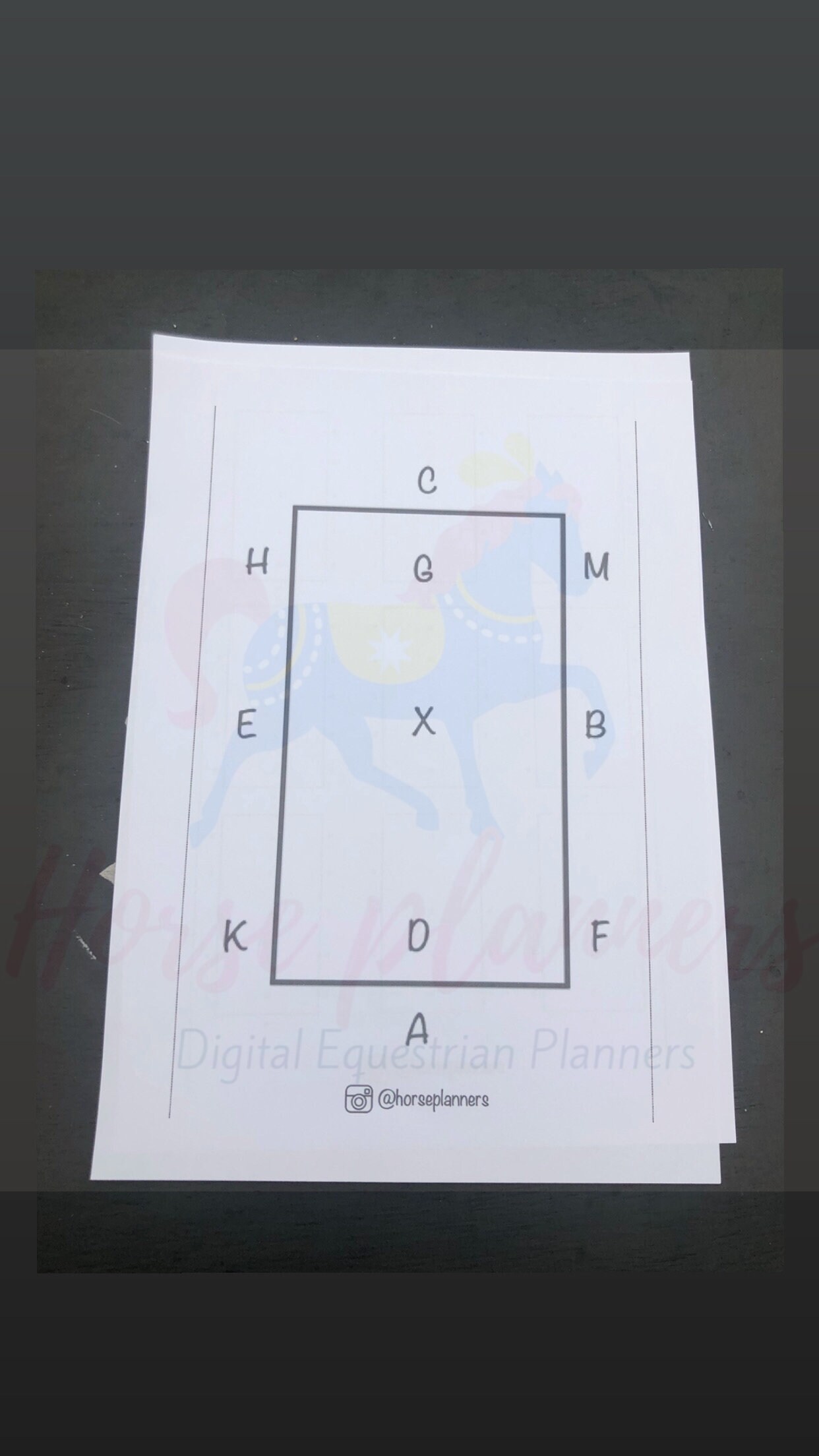 Horse Show Record Card Bundle Digital Etsy