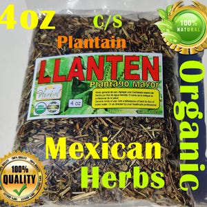 llanten Hierba Te, yanten, plantago mayor, plantein, great plantein, common plantein, broad leaved plantein 4oz !!!