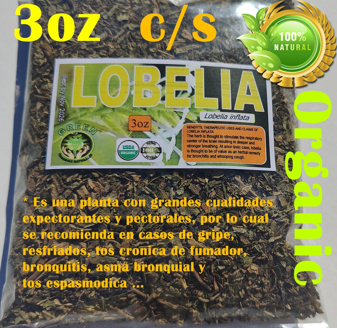 Lobelia Inflata Benefits