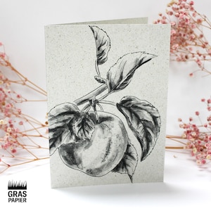 Klappkarte aus Graspapier, Motiv: Apfel