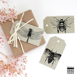 Könnte beinhalten: Drei braune Geschenkanhänger aus Papier mit Schwarz-Weiß-Illustrationen von Insekten. Die Anhänger haben oben ein Loch und sind mit einem weißen Band gebunden. Die Anhänger zeigen eine Libelle, eine Biene und einen Käfer.