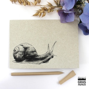 Klappkarte aus Graspapier, Motiv: Weinbergschnecke