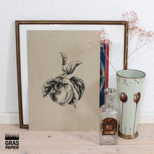 Könnte beinhalten: Eine Schwarzweißillustration eines Apfels an einem Zweig mit Blättern. Die Illustration ist auf braunes Papier gedruckt und in einem Holzrahmen gerahmt.
