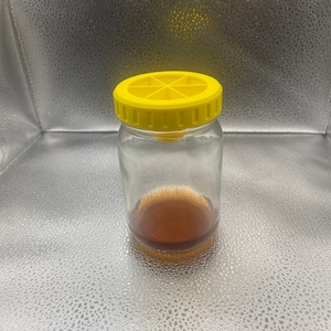 Eco-Friendly 3D Printed Fruit Fly Trap Lid for Mason Jars | Non-Toxic Insect Catcher