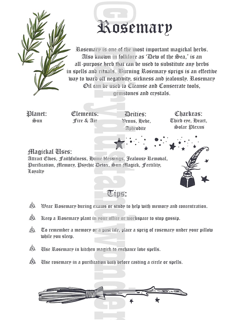 Printable Wicca Book of Shadows Herb Pages, Grimoire Herb Pages ...
