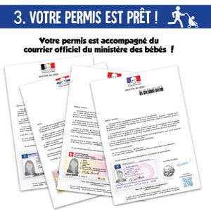 PERMIS POUSSETTE à personnaliser Boite à papa futur papa future grande soeur futur grand frere 10 commandements image 5