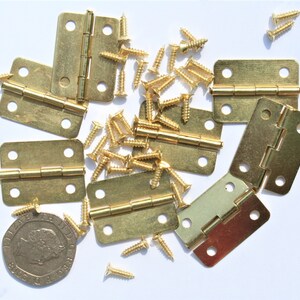 Könnte beinhalten: Eine Sammlung kleiner, messingfarbener Scharniere und passender Schrauben. Die Scharniere sind rechteckig mit abgerundeten Ecken und vorgebohrten Löchern. Die Schrauben sind klein und goldfarben. Die Artikel sind auf einer weißen Oberfläche verstreut.
