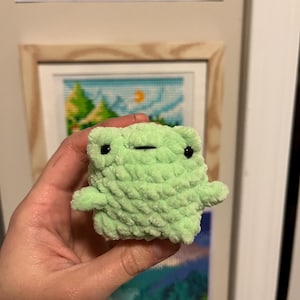 May include: A small, light green crocheted frog with black eyes and small arms. The frog is made of a soft, textured yarn. The frog is held in a person's hand. The background includes framed artwork.