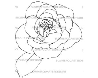 Digital Download, Digital Stamp, Clipart, Classic Rose, Botanical, Floral, Flowers, Hand-Drawn, PNG, JPG