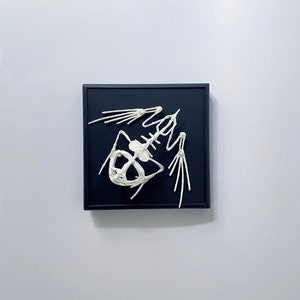 Callus - frog paper sculpture interior decoration - cabinet of curiosity -
