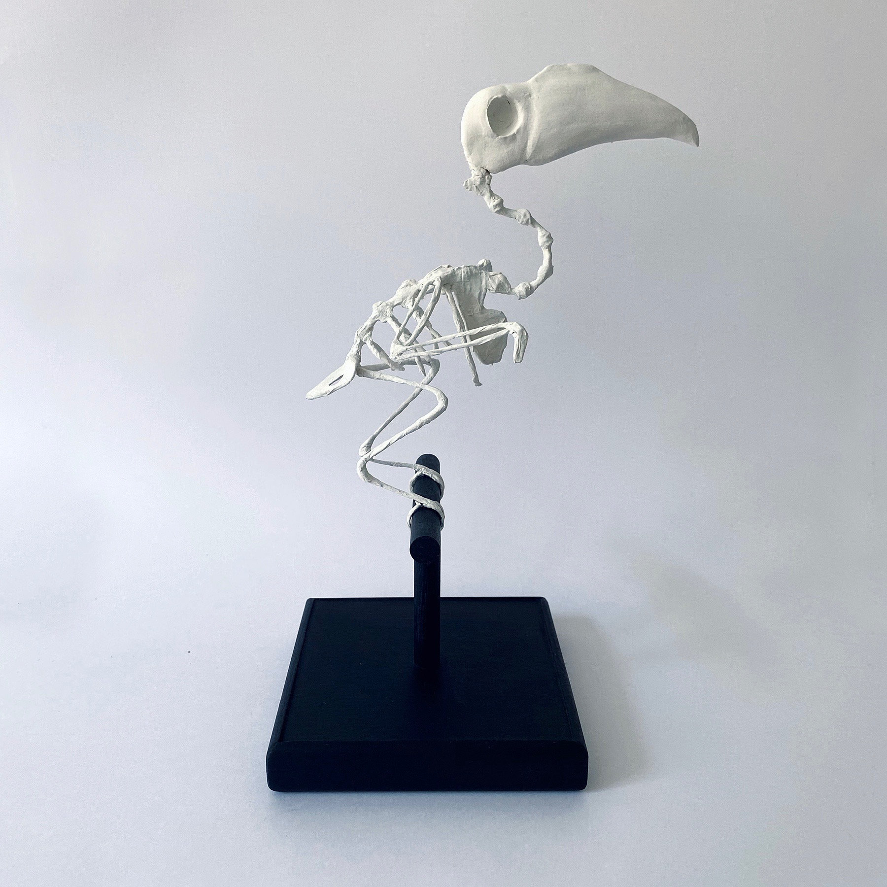 Hector - Black & White Bird, Paperart Sculpture -