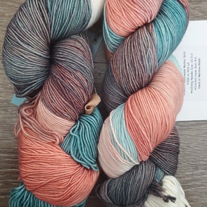 DESTASH - Expression Fiber Arts Limited Edition Resilient Sock Fingering Weight Yarn