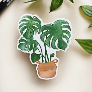 Monstera Sticker Laptop Sticker Vinyl Die Cut Sticker Waterproof Sticker House Plant Sticker Plant Sticker Waterbottle sticker image 1