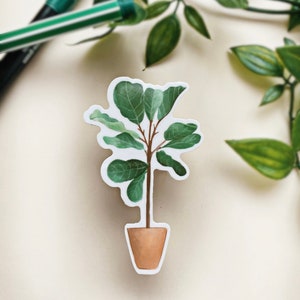 Fiddle Leaf Fig Sticker | Plant Sticker | Laptop Sticker | Waterproof Sticker | Die Cut | Vinyl Sticker | Indoor House Plant Sticker | Tree