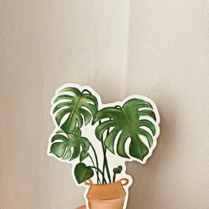 Monstera Sticker Laptop Sticker Vinyl Die Cut Sticker Waterproof Sticker House Plant Sticker Plant Sticker Waterbottle sticker image 3