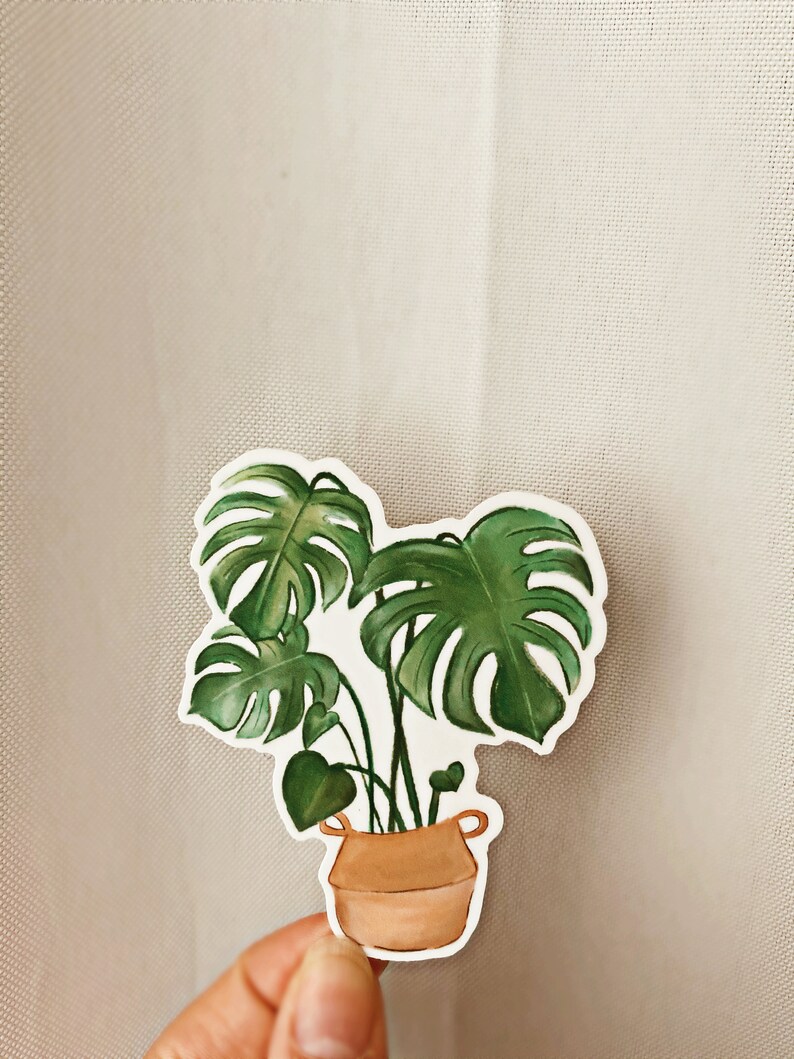 Monstera Sticker Laptop Sticker Vinyl Die Cut Sticker Waterproof Sticker House Plant Sticker Plant Sticker Waterbottle sticker image 3