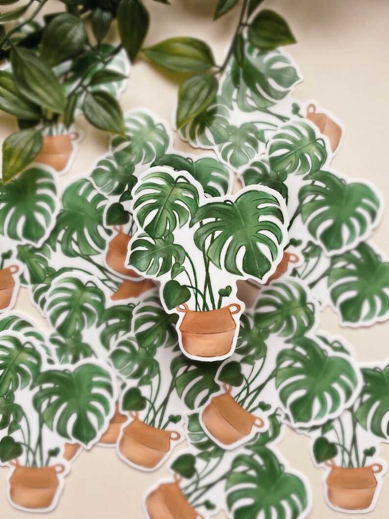 Monstera Sticker Laptop Sticker Vinyl Die Cut Sticker Waterproof Sticker House Plant Sticker Plant Sticker Waterbottle sticker image 2