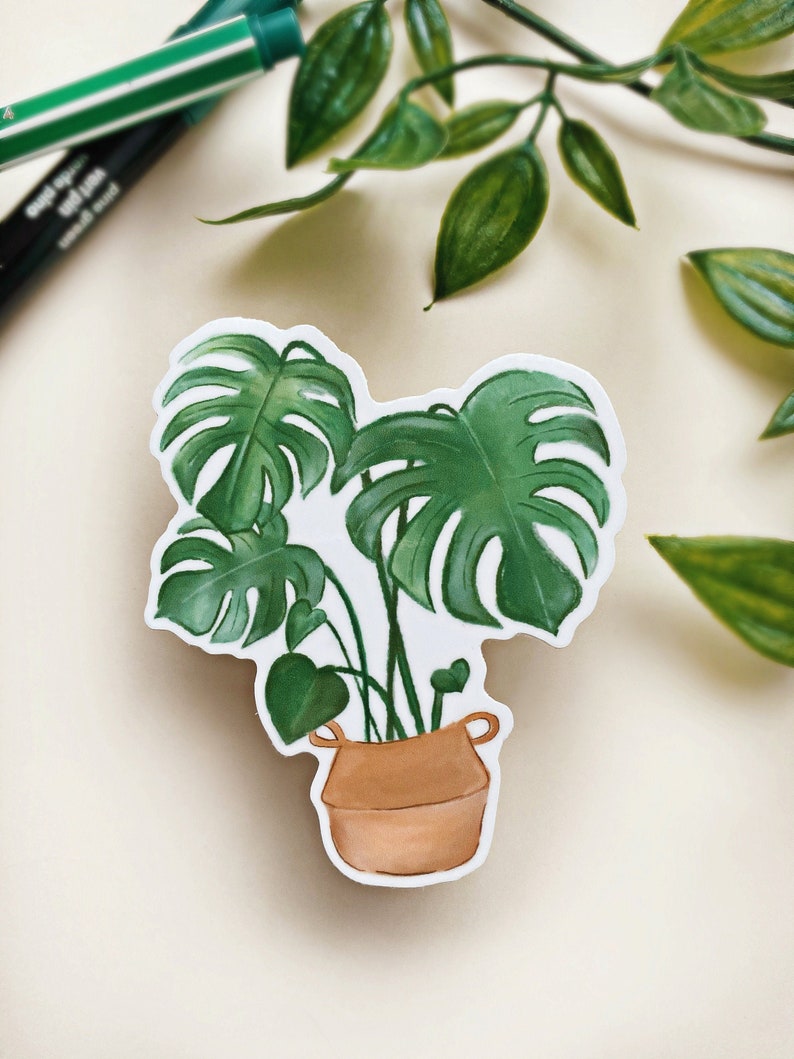 Monstera Sticker Laptop Sticker Vinyl Die Cut Sticker Waterproof Sticker House Plant Sticker Plant Sticker Waterbottle sticker image 1