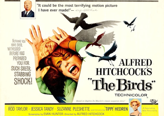 鳥 (1963) ポスター アメリカンナチュラル ホラー スリラー映画