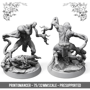 Necrowarrior (vs Spirit)- Dragon Necromancer (Printomancer)