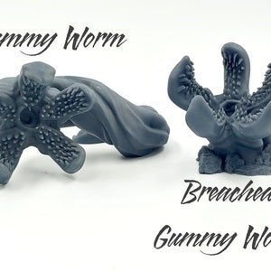 The Gummy Worm (schaal van 75%) - Sugar Realms (Axolote Gaming)