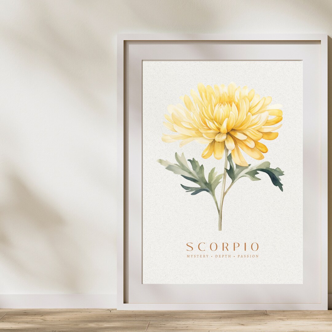 Zodiac Flower Watercolor Wall Art, Chrysanthemum Painting, Scorpio Gifts, Astrology Print