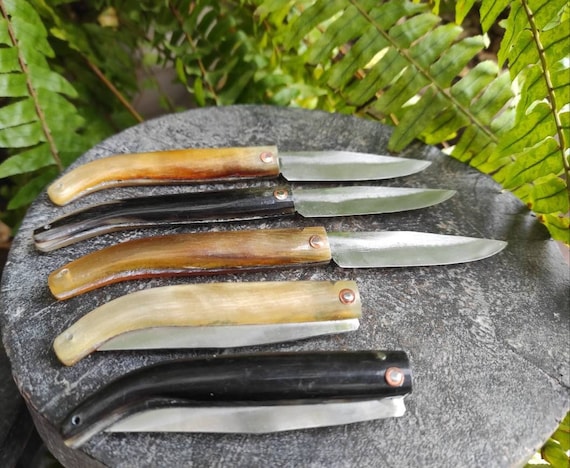 Folding Pocket Knife With Horn Handle. Ram Horn Handle Pocket Knife.  Handmade Small Pocket Knife. Fishing Knife. Miniature Knife. 9cm 