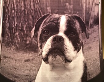 Single Photo Lithophane