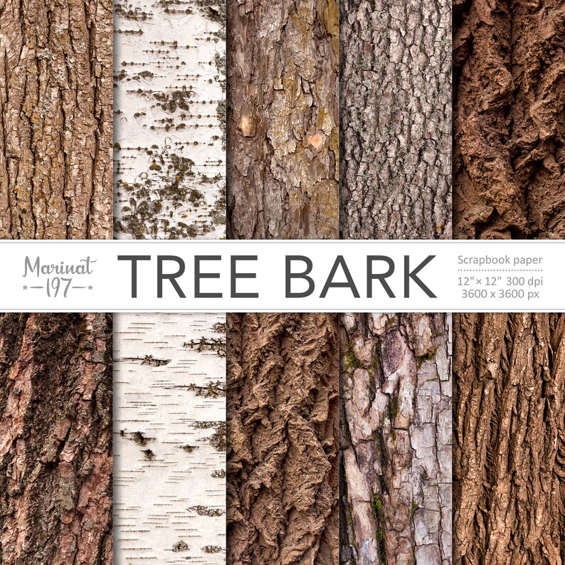 Tree bark. Naturescapes. Digital Paper. Rustic Tree Bark Etsy