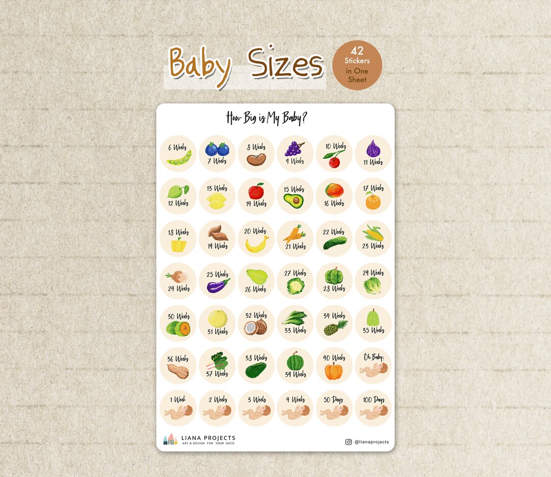 Baby Sizes Stickers | Baby Bump Stickers | Pregnancy Sticker ...