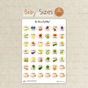 Baby Sizes Stickers | Baby Bump Stickers | Pregnancy Sticker |  | Planner stickers |Journal stickers | Scrapbook | Bujo stickers