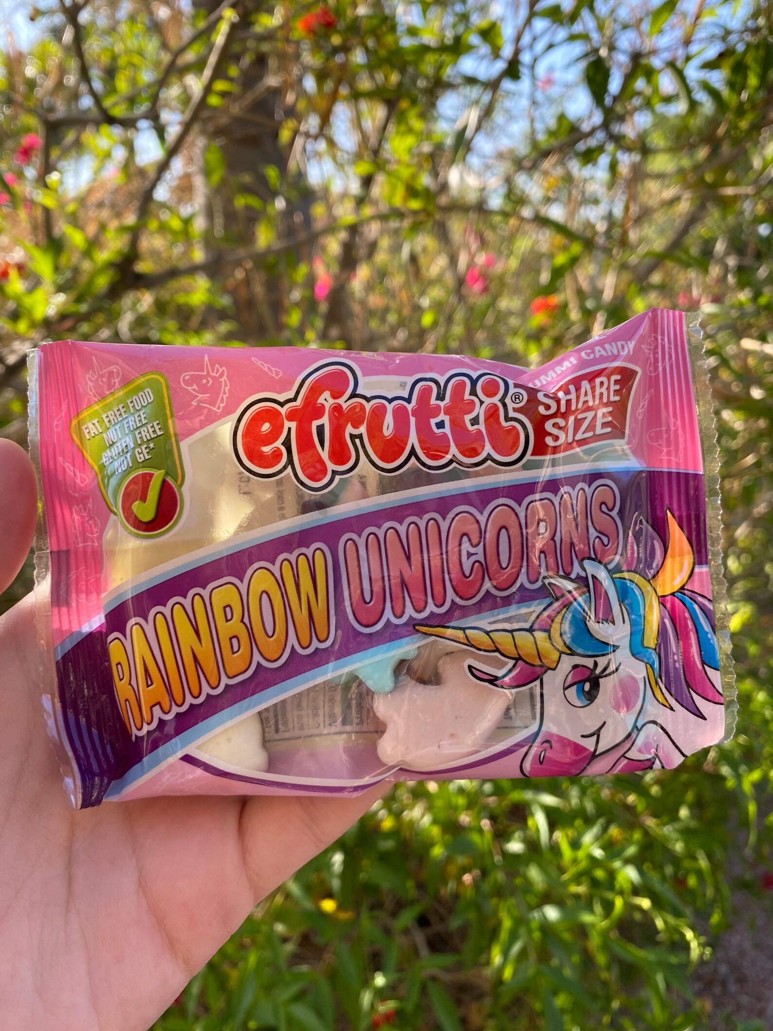 Rainbow Gummy Unicorns Etsy