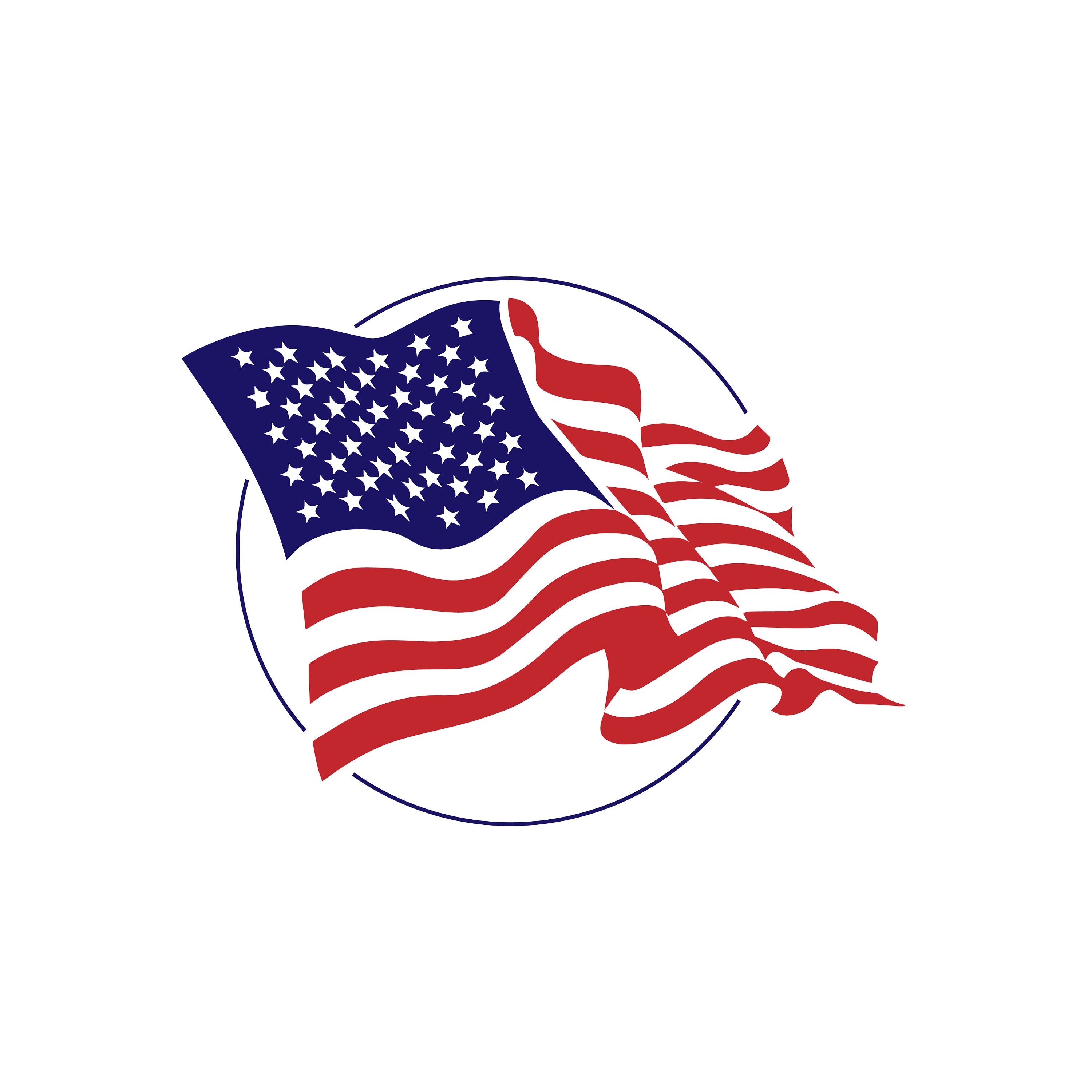 Download Usa American Flag Svg Etsy