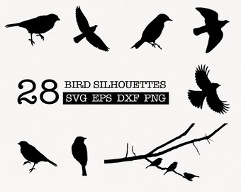 Birds On Wire Svg Etsy
