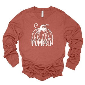 May include: A long-sleeved t-shirt in a rust color with a white graphic of a pumpkin and the text "hello pumpkin".