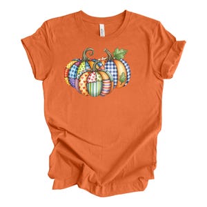 Pu&ograve; includere: T-shirt arancione con un'illustrazione ad acquerello di tre zucche. Le zucche hanno un design patchwork con vari motivi, tra cui cuori, strisce e quadri. La maglietta &egrave; realizzata in un materiale morbido.